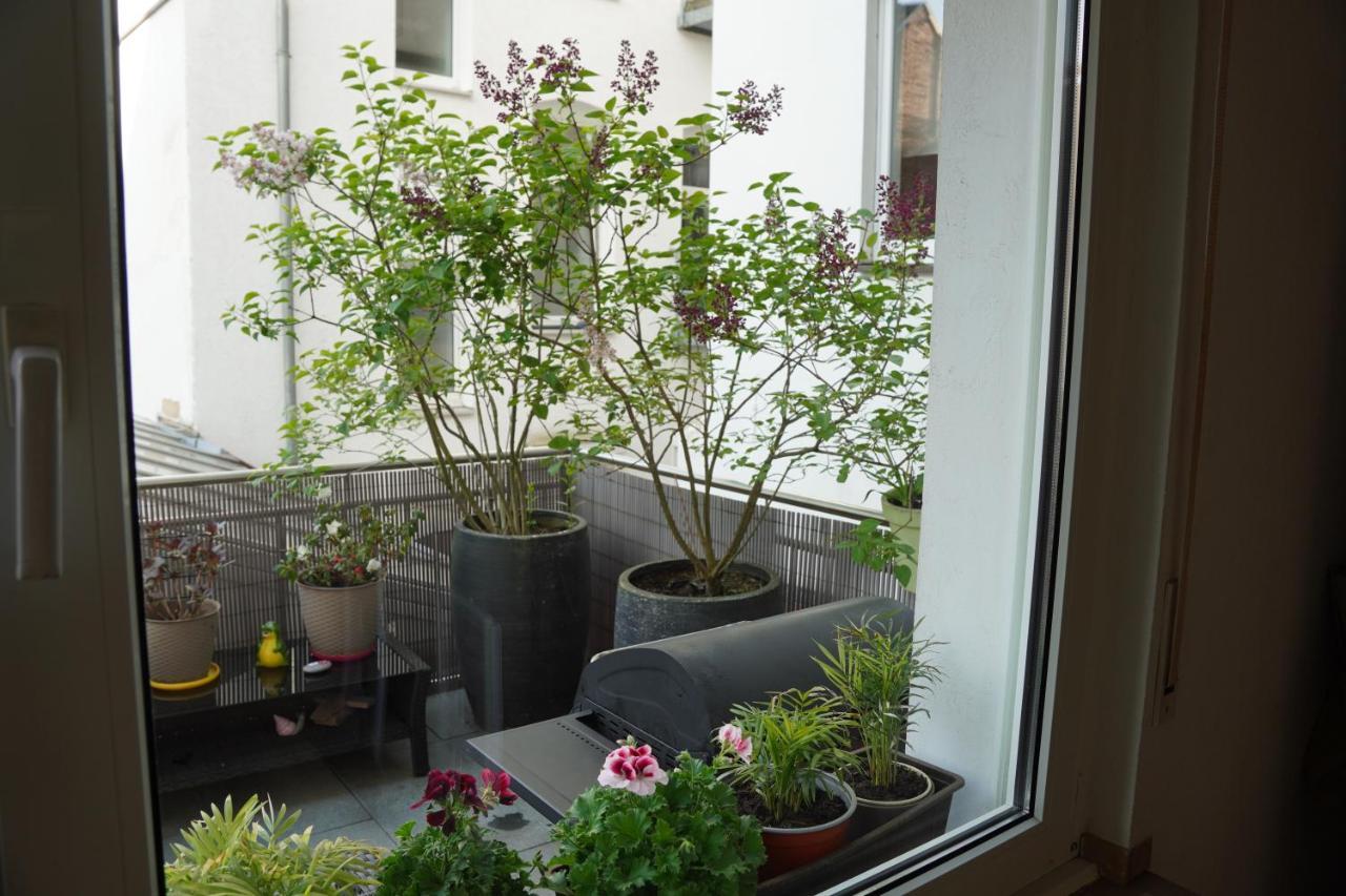 Bright, Spacious Apartment With A Lovely Terrace In The Heart Of Aachen Exteriör bild