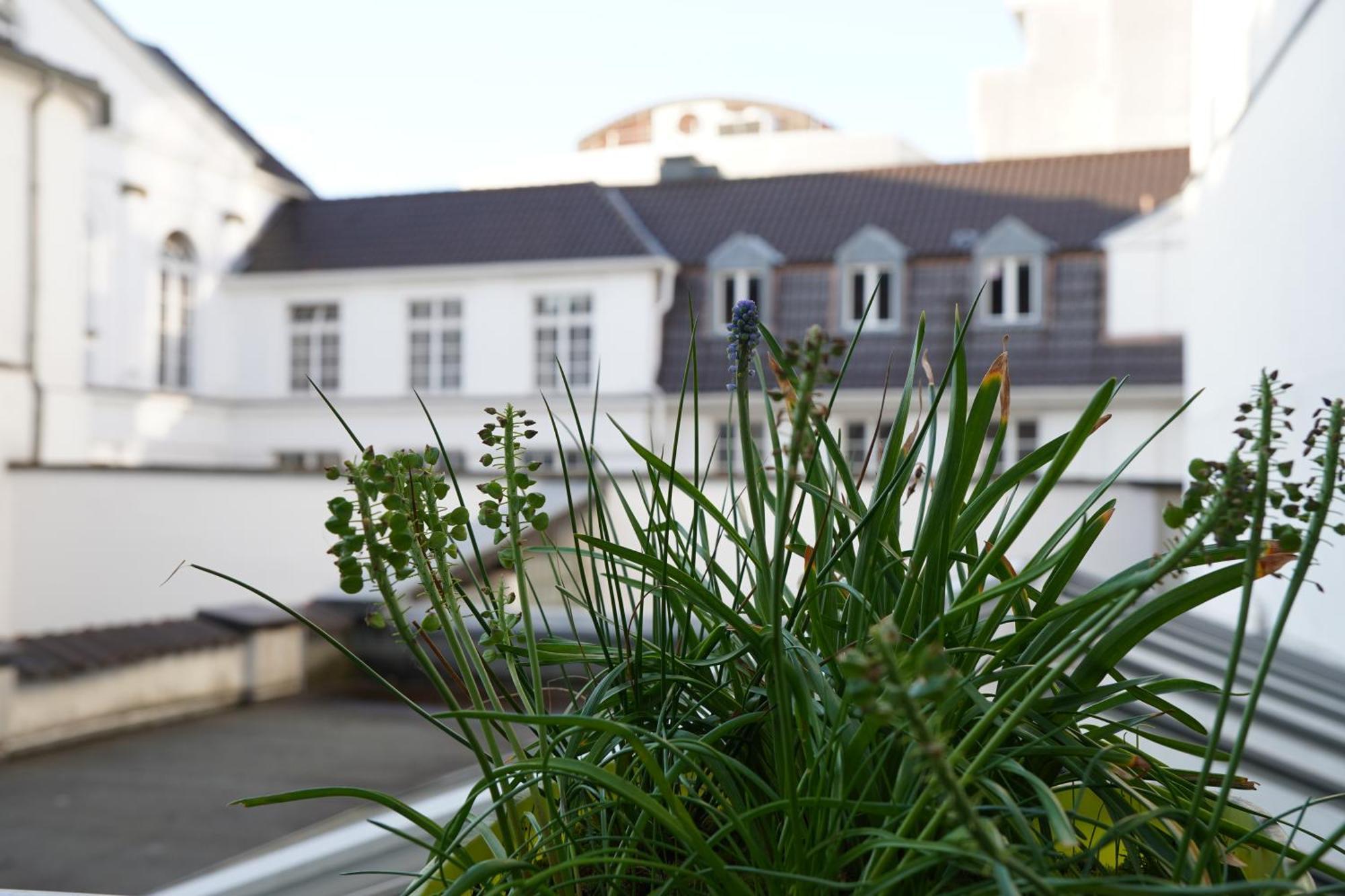 Bright, Spacious Apartment With A Lovely Terrace In The Heart Of Aachen Exteriör bild